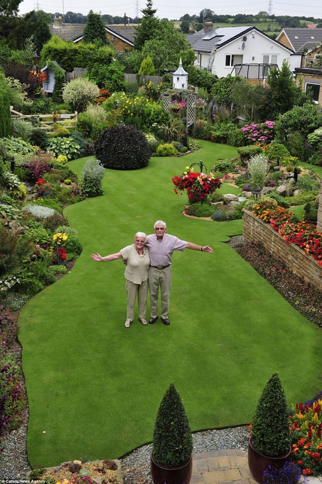 Câu chuyện về cặp vợ chồng người Anh - Stuart và Anne Grindle đã khiến nhiều người ngưỡng mộ. Trong suốt 30 năm qua, họ luôn đều đặn 30 giờ (6 lần) mỗi tuần chỉ để làm vườn. Và thành quả đáng ngưỡng mộ là khu vườn tuyệt đẹp và bãi cỏ xanh rì không bao giờ cao quá 5mm.